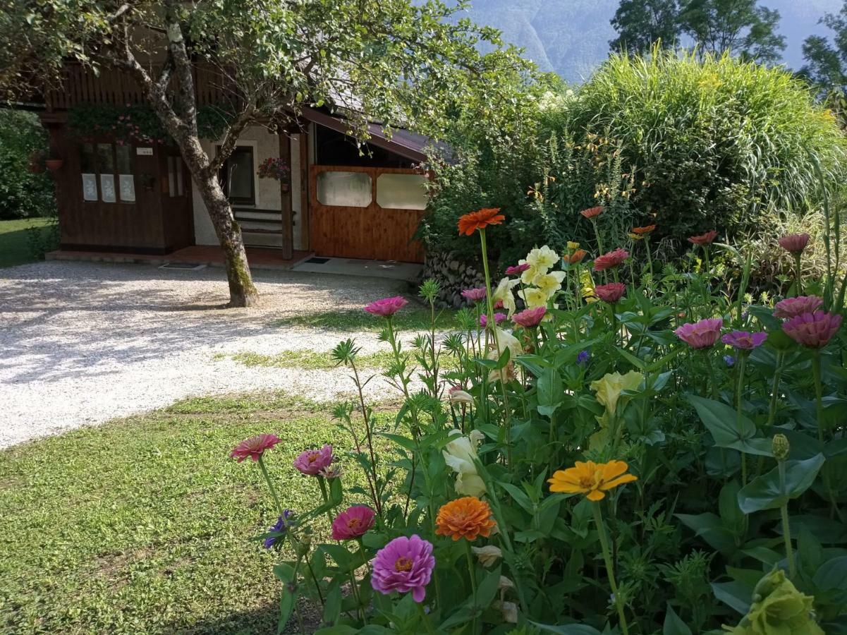 Holiday House Zeleni Gaj Bovec Exterior foto